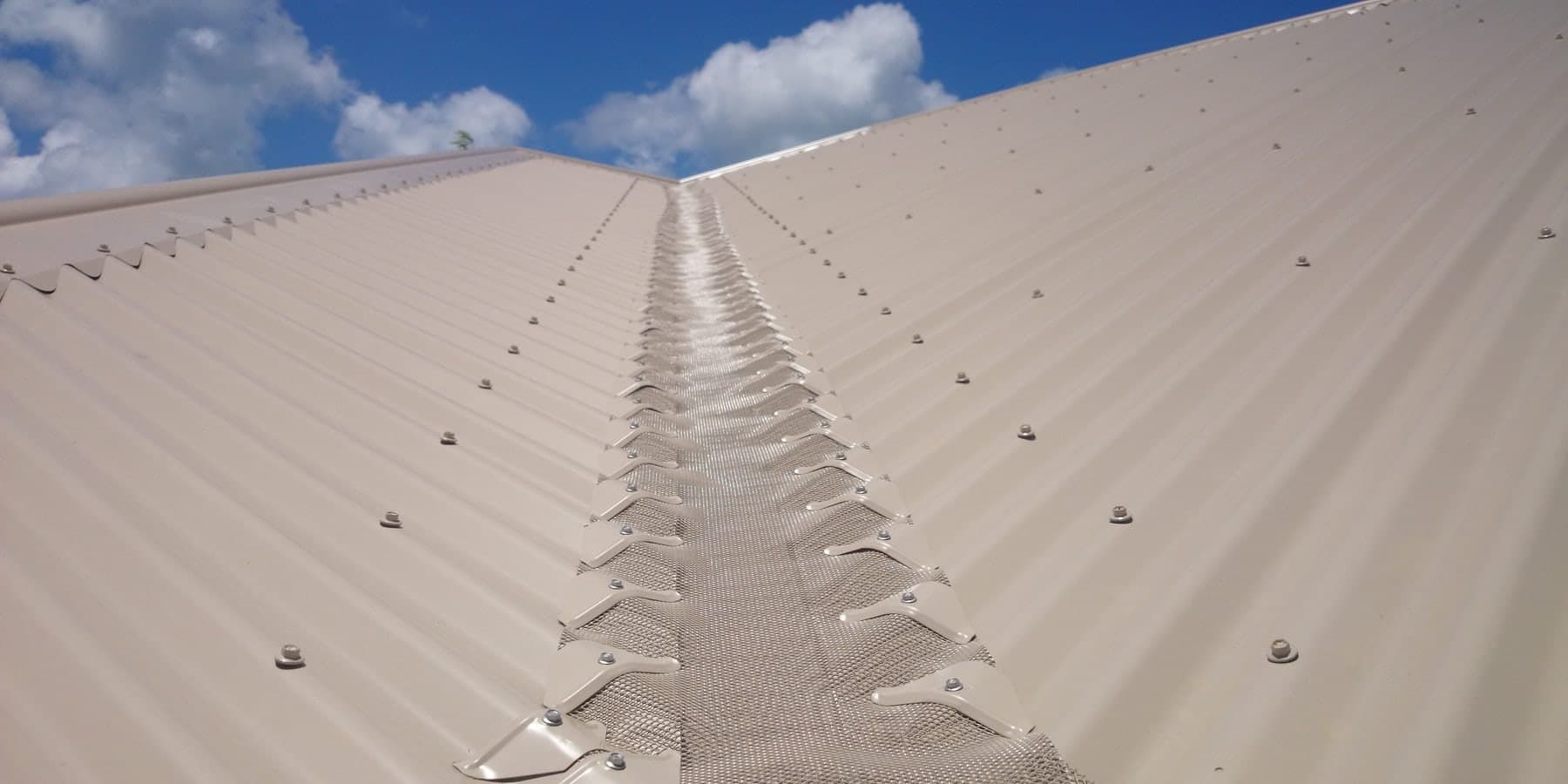 Gutter guard mesh fitted over a valley on a cream Colorbond metal roof under a clear Queensland sky
